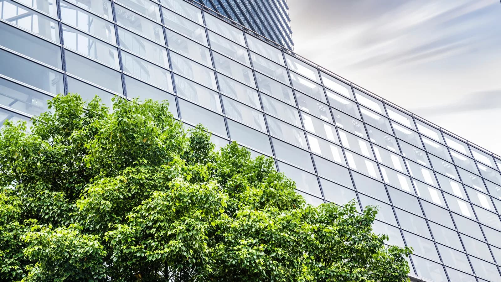 INDONESIA’S CARBON CAPTURE REGULATIONS: THE LATEST ADDITION TO INDONESIA’S EVOLVING LEGAL FRAMEWORK