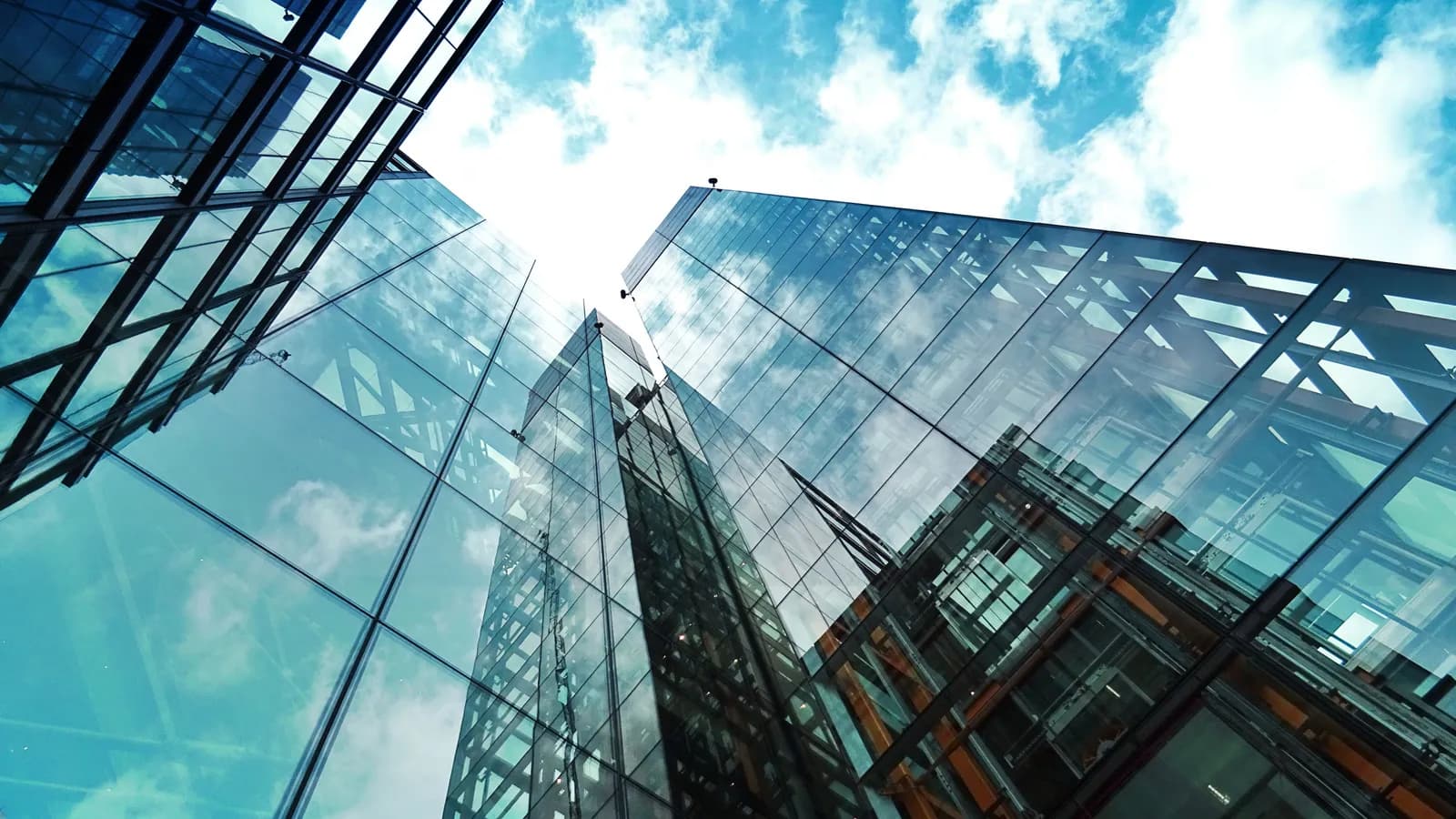 A new government regulation on franchises and franchising has finally been issued: a welcome overhaul!