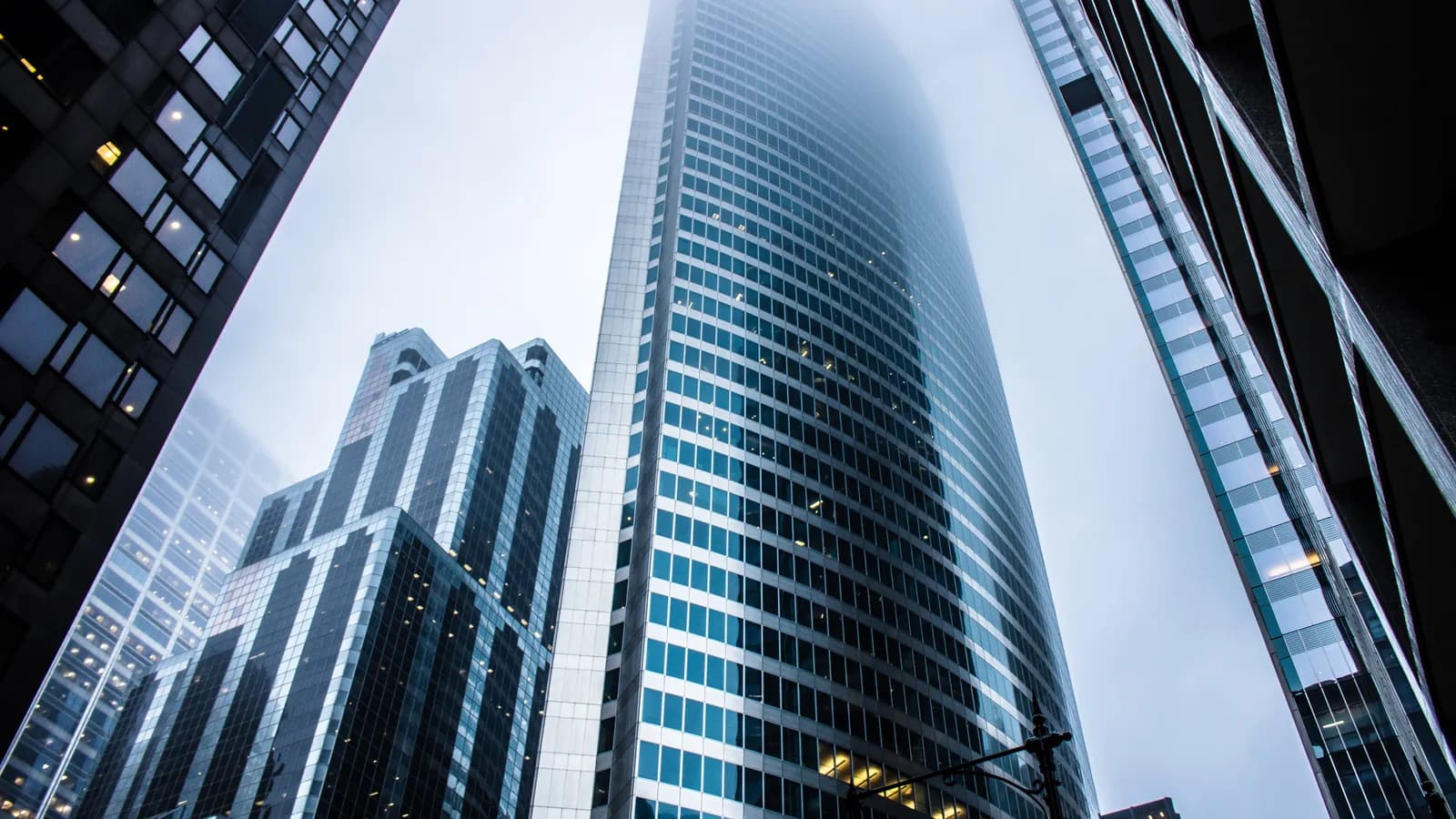 2024 recap and 2025 projections in competition & antitrust